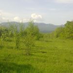 Продам земельный участок 60 соток в гора Крыма